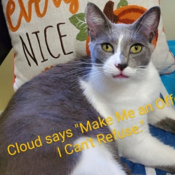 Vintage premiere Designs Calla Lilly brooch pin - Picture 5 of 5